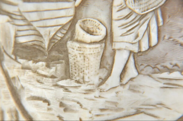 Scultura su grande conchiglia XIX secolo - immagine 5