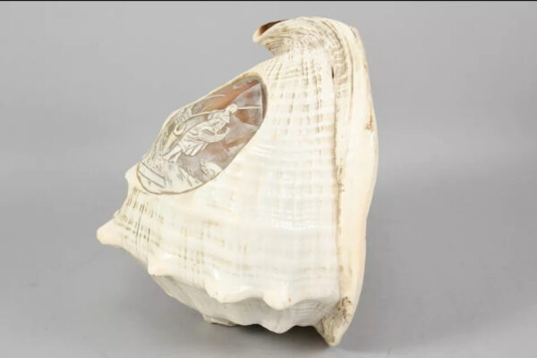 Scultura su grande conchiglia XIX secolo - immagine 10